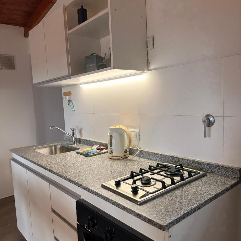 Stanza II, Heriberto Martínez, Villa Belgrano - One-Bedroom Apartment - 2