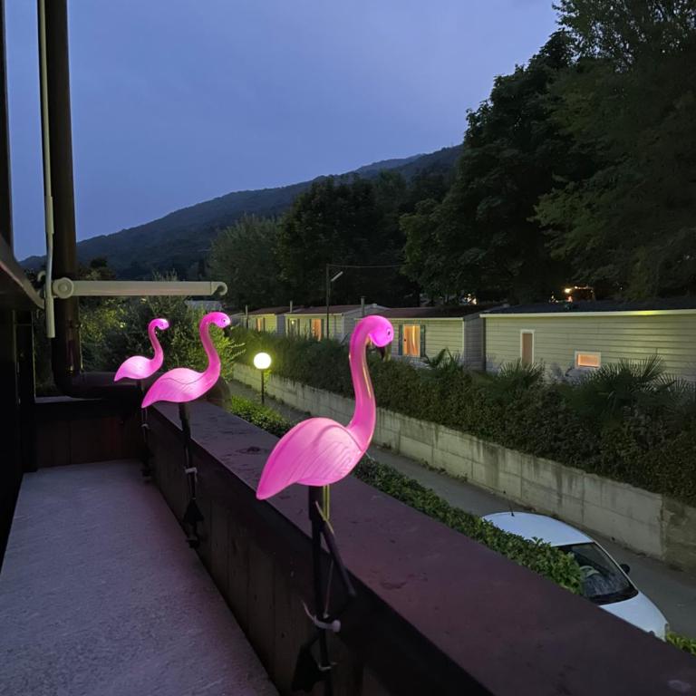 Casa Flamingo - Appartamento con 2 Camere da Letto - 7