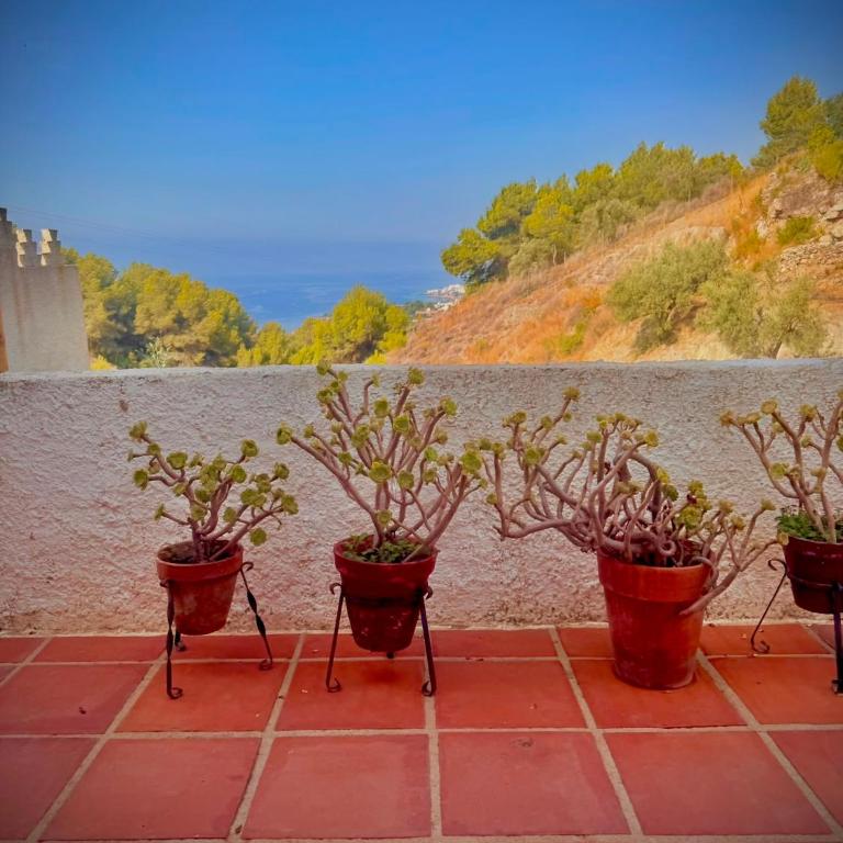 Casa Alma del Sur - Habitación Doble con vistas al mar - 4