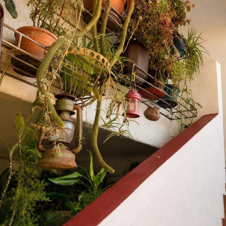 Little Paradise - Apartman sa 1 Spavaćom Sobom - 14