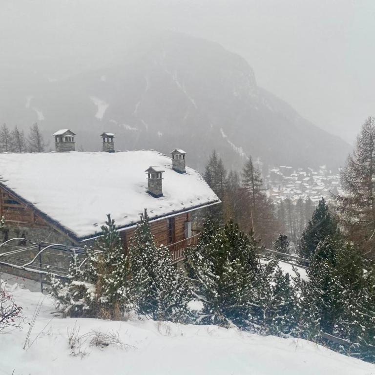 Casa Paradiso - VOTRE MAISON - Two-Bedroom Apartment - 7