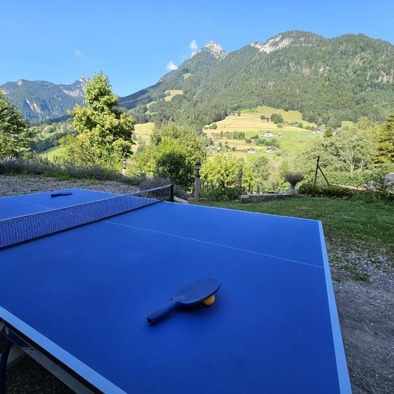 Chalet Sterenn, 10 personnes, Grand Bornand et La Clusaz - Chalet - 27