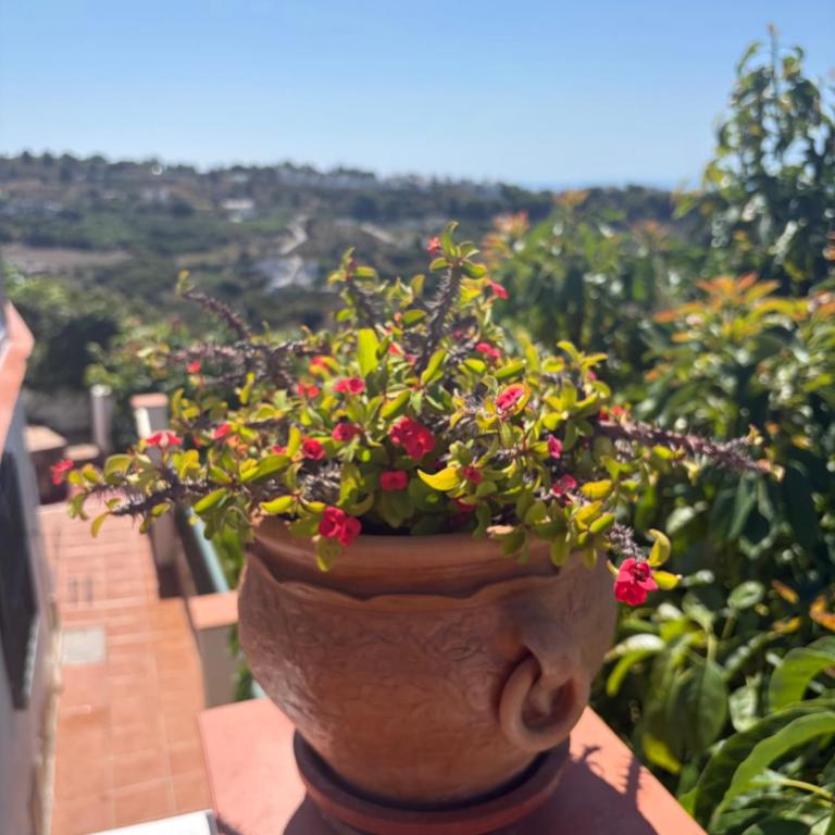 Casa Amparo Frigiliana - Villa con 2 Camere da Letto - 26