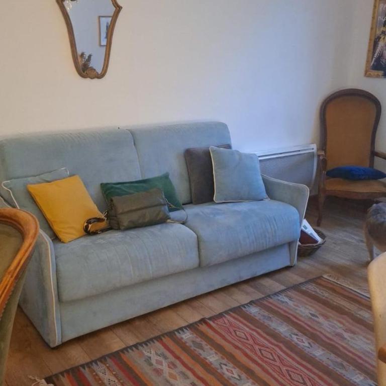 Ground floor apartment of a bucolic villa in town, garden et parking - Maison 1 Chambre - 10