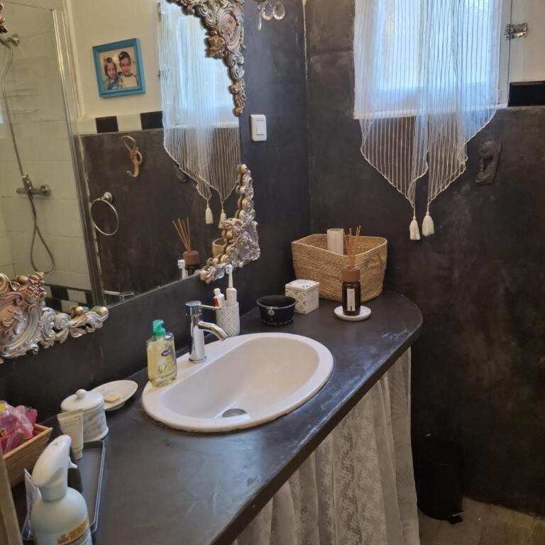 Ground floor apartment of a bucolic villa in town, garden et parking - Maison 1 Chambre - 11