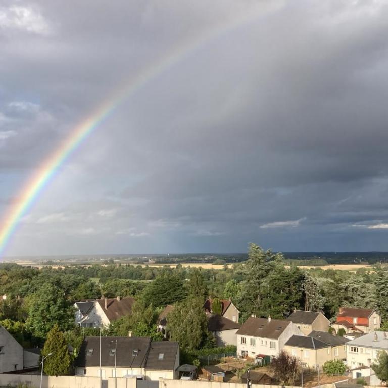 le Bellevue Blois - Appartement 1 Chambre - 12