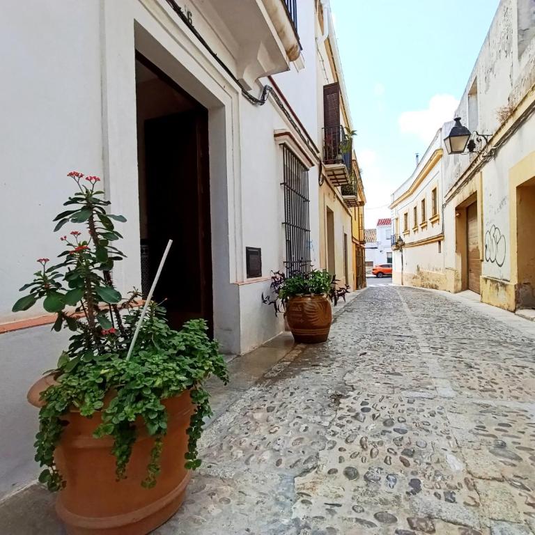 Apartamento Estereros Centro Jerez - Appartement 1 Chambre - 31