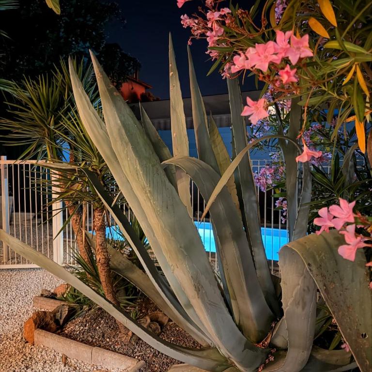 Bas de villa, 6 personnes, piscine, proche plages - Maison 2 Chambres - 19