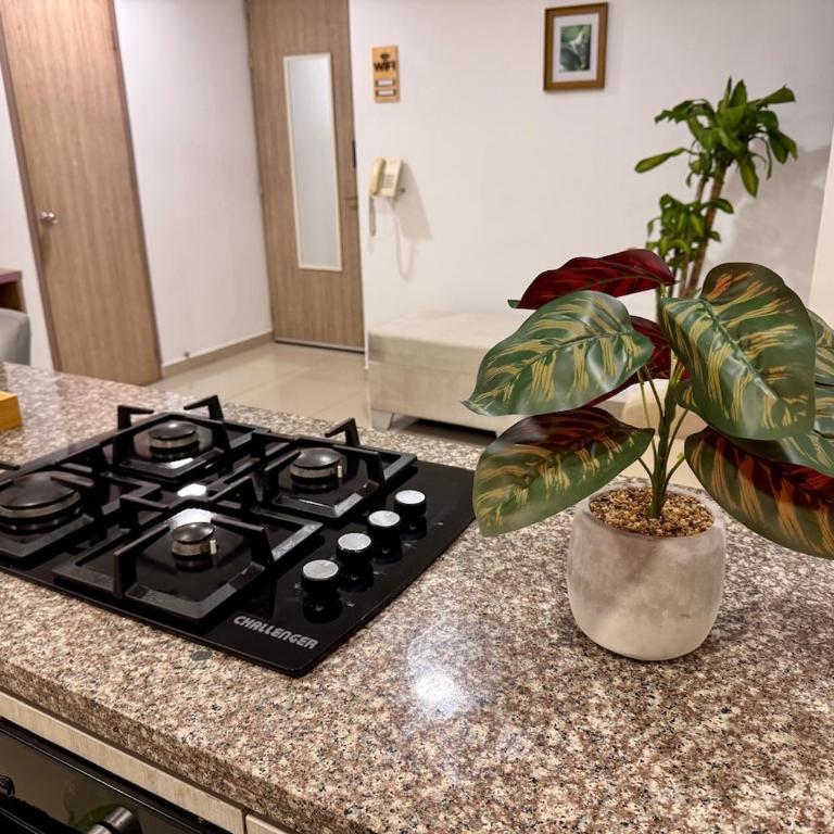 Exceptional Apartment in Barranquilla - Near Parque Sagrado Corazon - One-Bedroom Apartment - 12