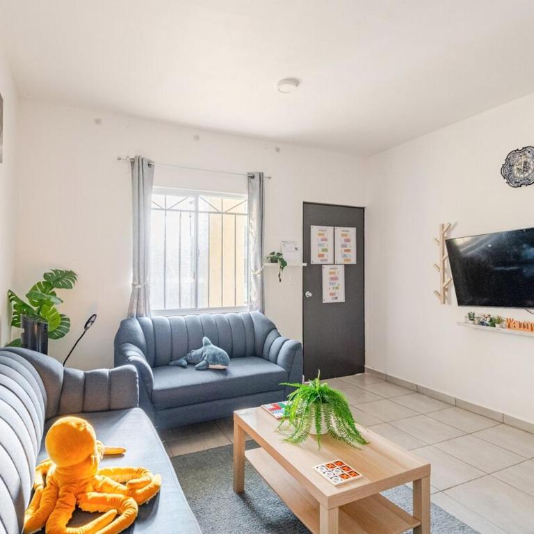 Ideal para quienes rentan auto y buscan tranquilidad con seguridad mas amenidades, cajon para auto, Planta Baja - Two-Bedroom Apartment - 3