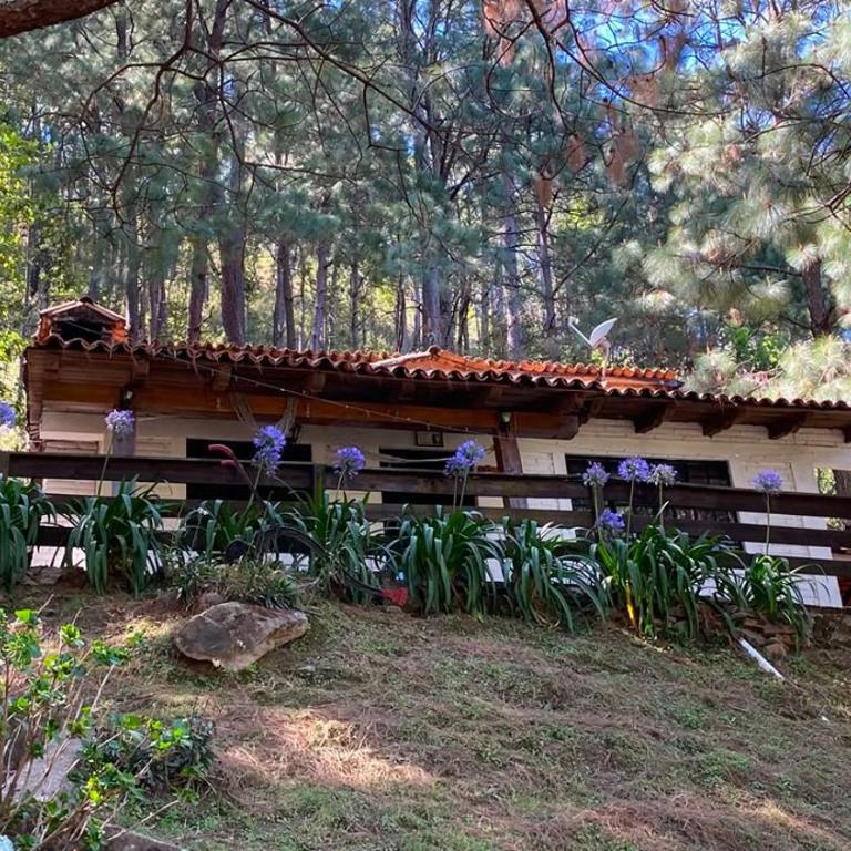 Cabañas las Alazanas - Bungalow Familiar - 29