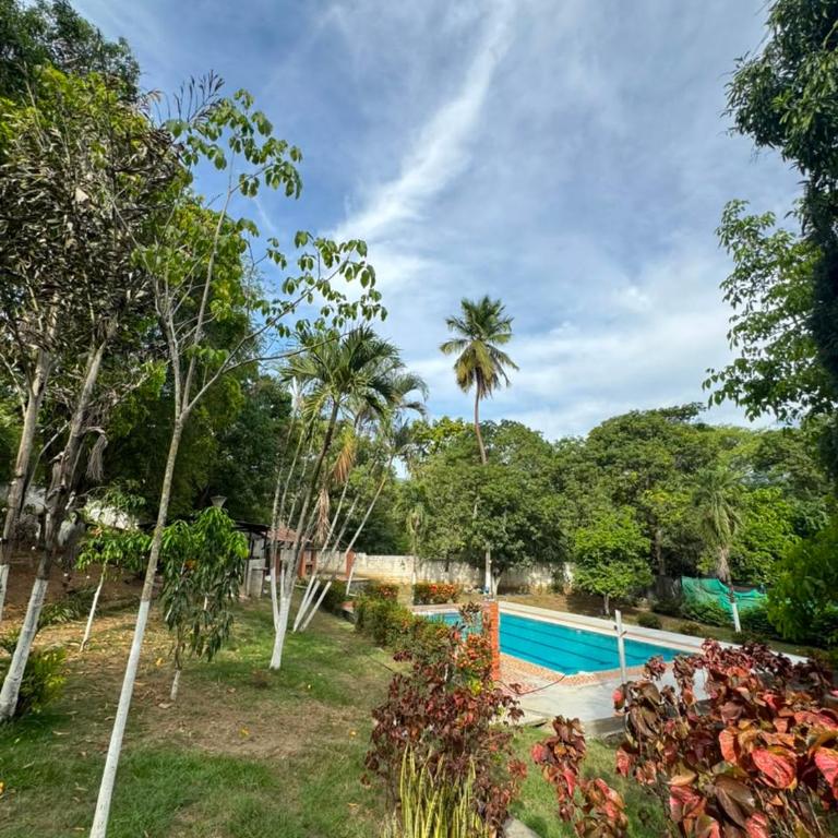 Villa Palmaré - Sopetrán - Casa - 13