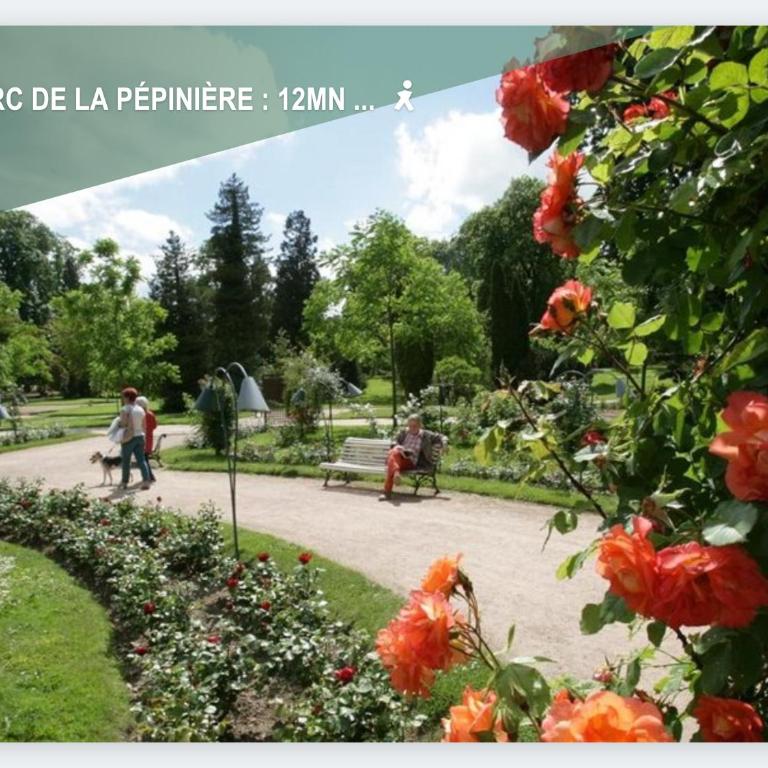 Studio Hypercentre - Train station 5 minutes away - Appartement 1 Chambre - 14
