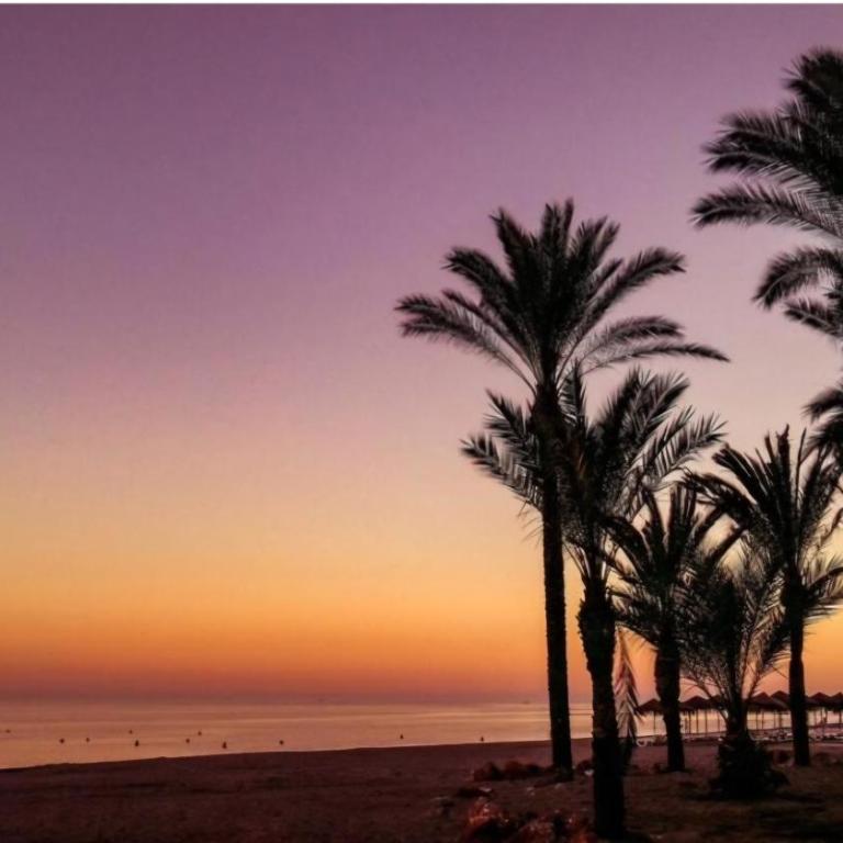 Apartment Club Playa Flores Torremolinos - Apartamento - 50