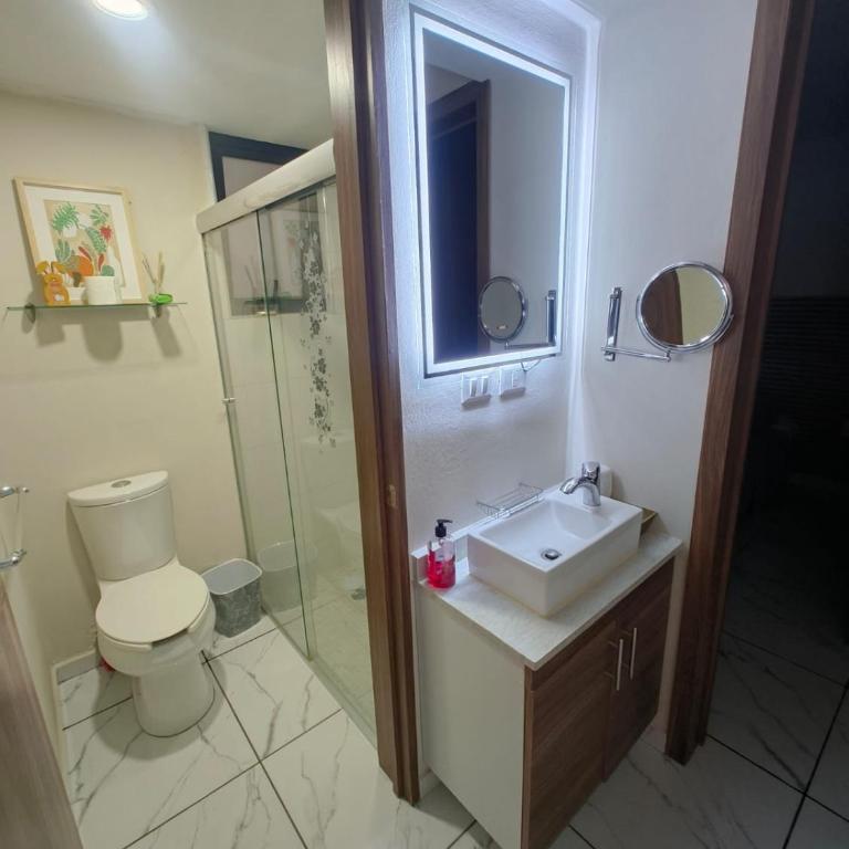 Nuevo y excelente ubicación al sur - Apartamento de 1 dormitorio - 15