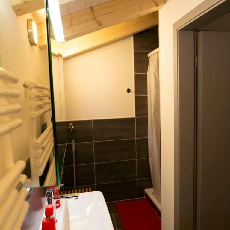 Frutigers SwissHome - Apartment mit 1 Schlafzimmer - 23