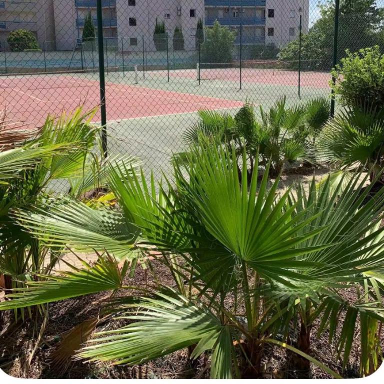 Appart' familial climatisé 4 pers RDC terrasse - Appartement 1 Chambre - 6