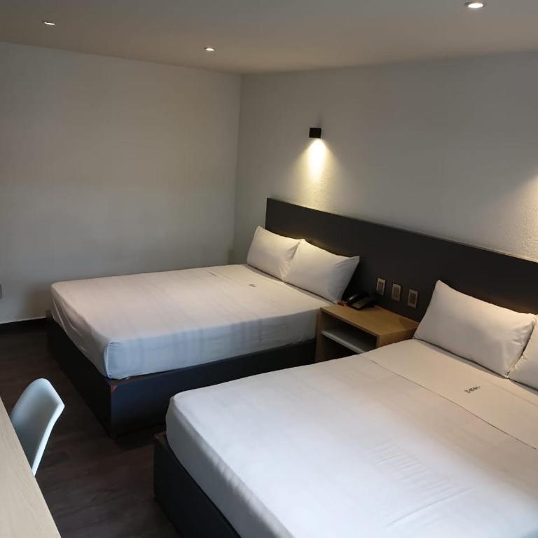 Hotel Conde Alameda CDMX - Chambre Quadruple Deluxe - 3