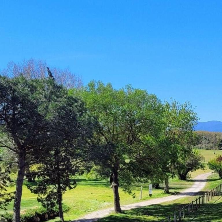 VERT Paradis ST CYPRIEN GOLF CLAIR 3 étoiles, 80 m2 avec Terrasse Pergola, Vue apaisante sur Pins parasols, 2è étage, 2 chambres, 3 CLIM, WIFI - Piscine, Parking et Park à vélos, Ascenseur - en Option Linge, Ménage - Pistes cyclables, Mer à proximité - Appartement 2 Chambres - 4