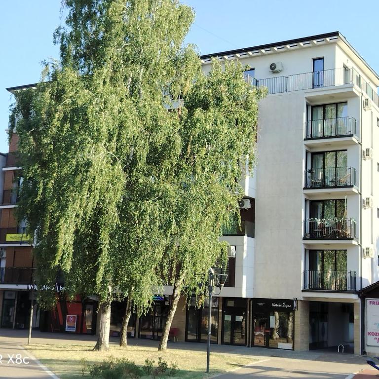 SunStone Vrnjačka Banja Centar - Apartman sa 1 Spavaćom Sobom - 1