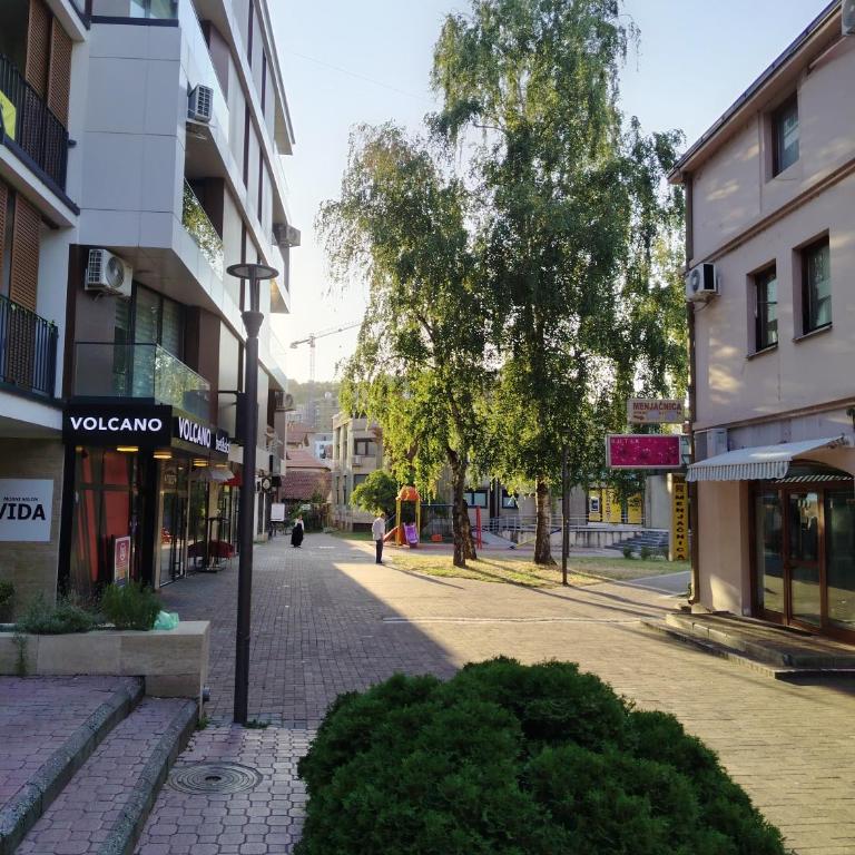 SunStone Vrnjačka Banja Centar - Apartman sa 1 Spavaćom Sobom - 44