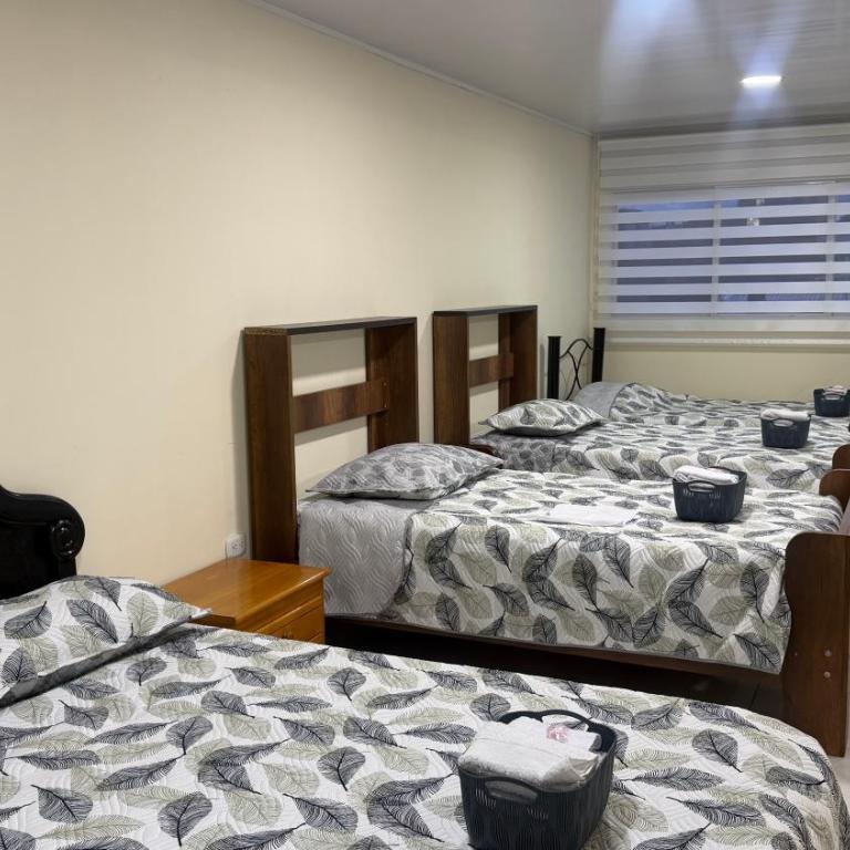 Golden House - Alojamiento - One-Bedroom Family Apartment - 1