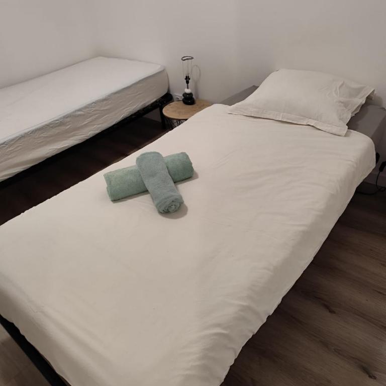 Lovely Anjou Grand appart calme centre-ville - Appartement - 11