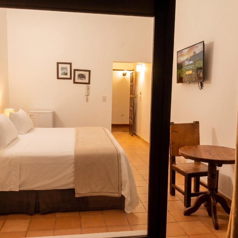 Hotel Mesón de los Virreyes - Habitación Doble con terraza - 8