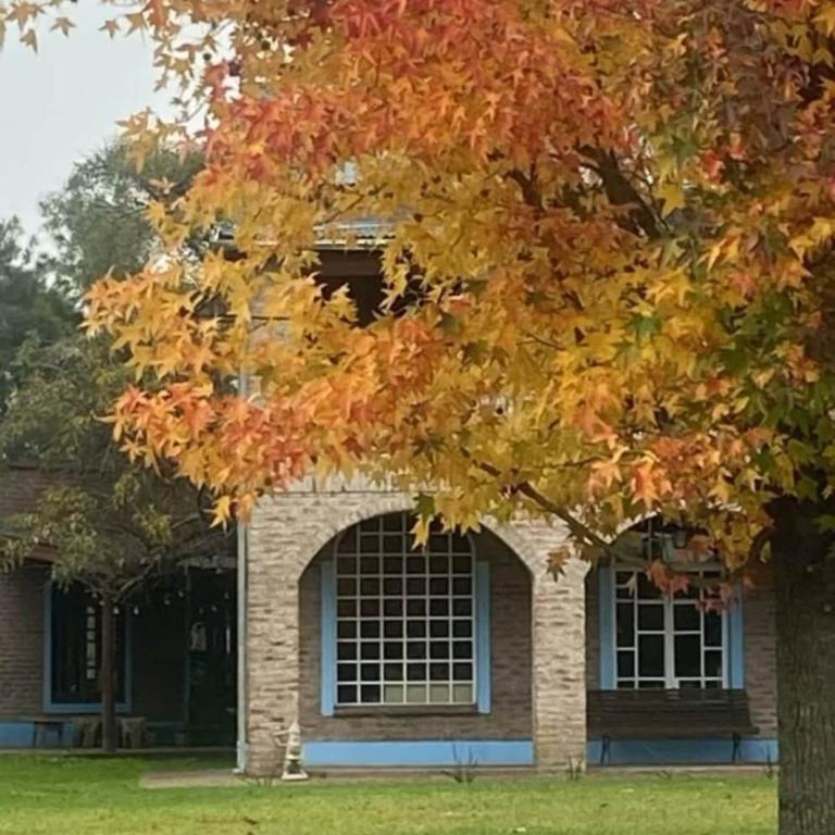 Magnolias Casa de Campo in Valdés, Buenos Aires - Villa - 9