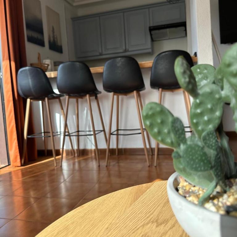 Golf & Sunset Albatros Park - One-Bedroom Apartment - 3