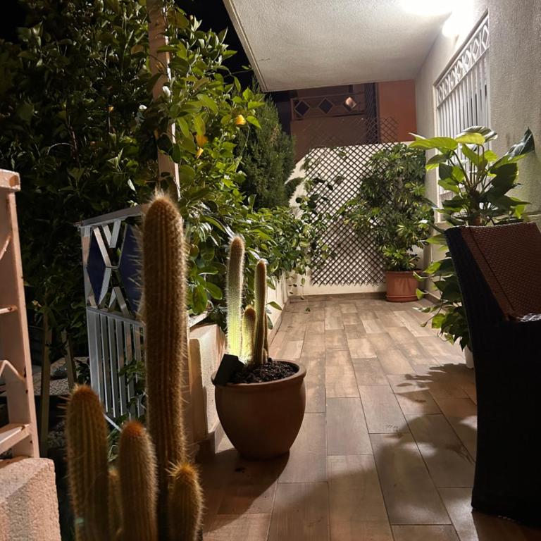 Apartamento con encanto cerca de la playa el rosario - Apartamento de 1 dormitorio - 15