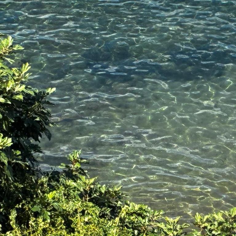 Pareti di Mare 40 mt dalla spiaggia - Casa con 1 Camera da Letto - 25