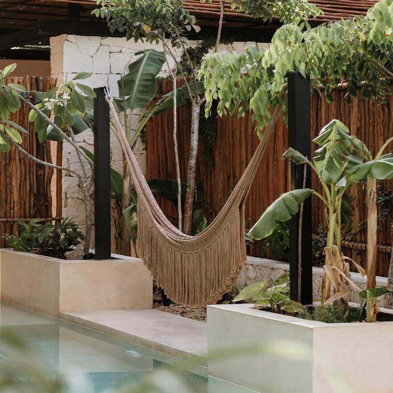Itza Jungle Queen Swim Up with Beach Club Access - Apartment - 16