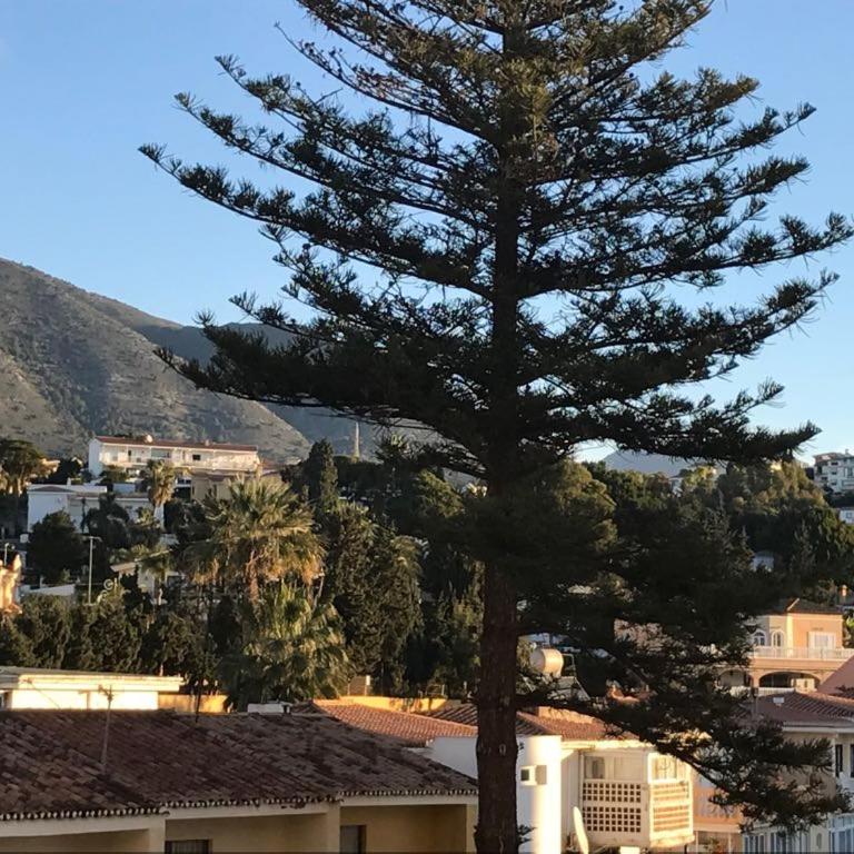 Apartamento Torreblanca FREE PARKING - Apartamento Deluxe - 34