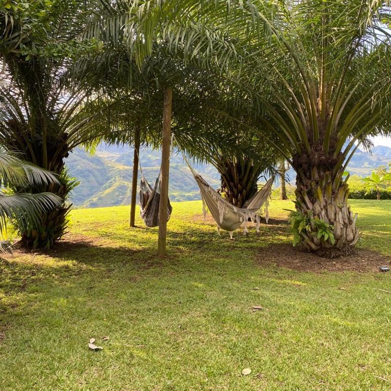 Accommodation Suroeste Antioqueno Tarso View Rio Cauca - Casa de 3 dormitorios - 8