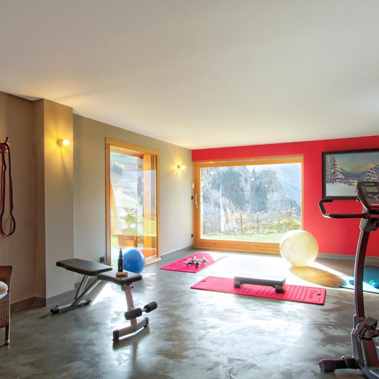 Grand chalet, vue sur glacier - 12 pers. - FR-1-905-22 - Chalet - 15