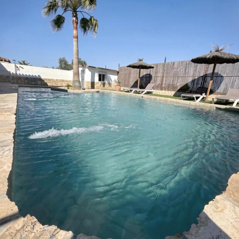 Chalet con piscina privada Lugar tranquilo con Palmeras - Apartment - 4