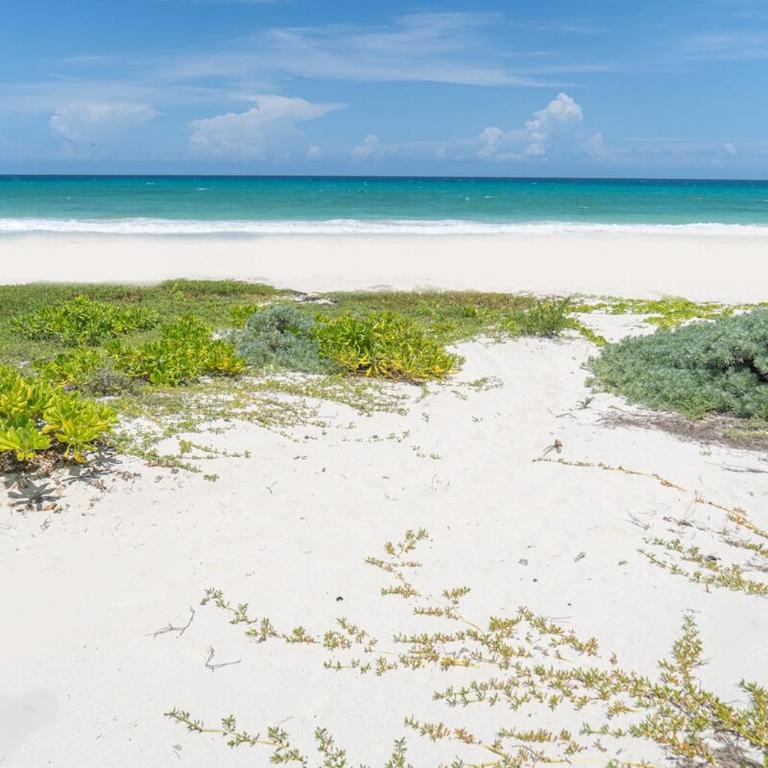 Villa Ixchel-Stunning views, right on the beach! - Villa - 41