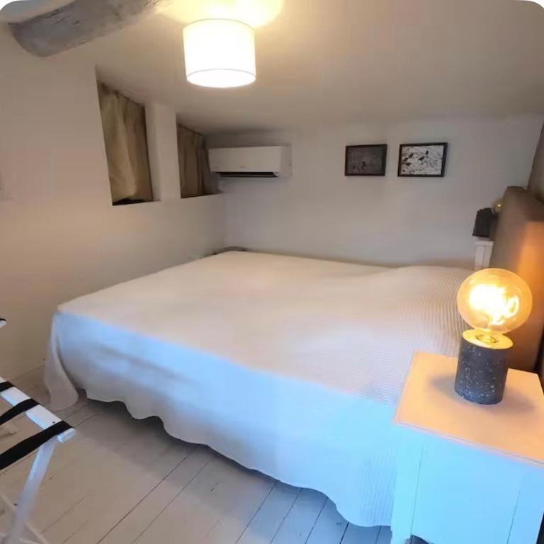 cocon d'artiste plein centre ville historique - Apartment mit 2 Schlafzimmern - 15