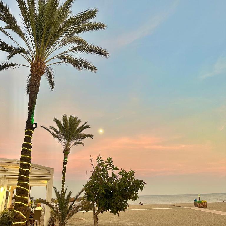 Blue Horizon - Apartamento de 1 dormitorio - 2