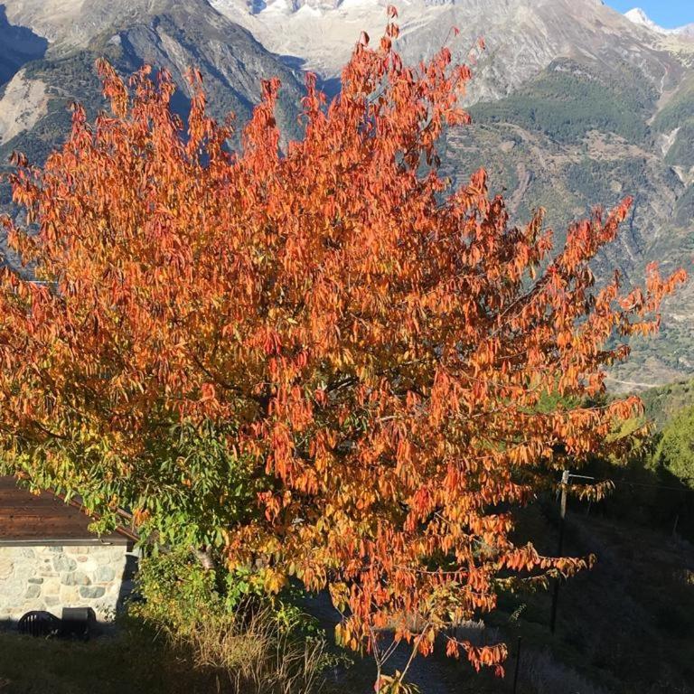 Haus Panorama Brandalp - Apartment mit 1 Schlafzimmer - 4