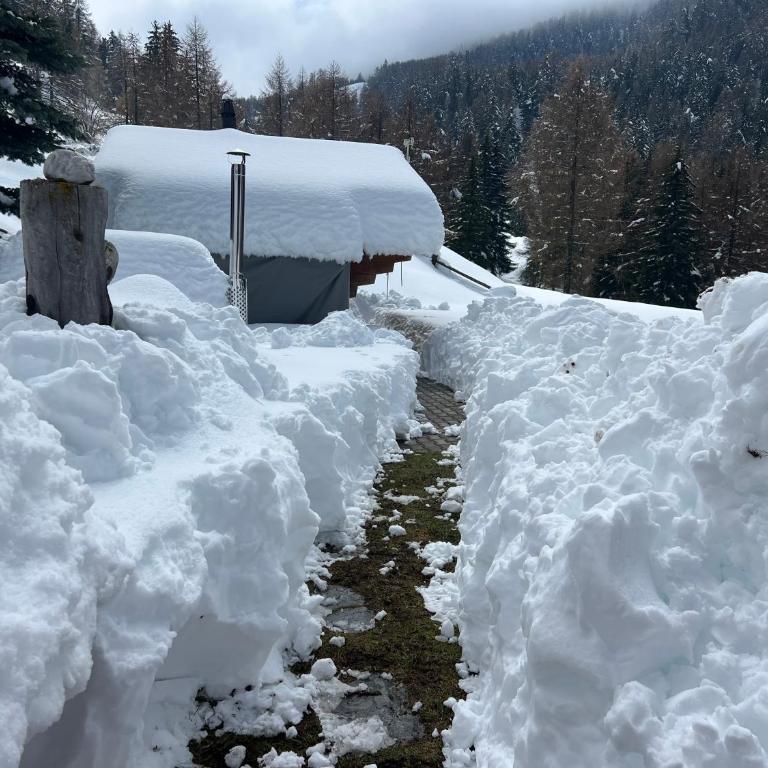 Haus Panorama Brandalp - Apartment mit 1 Schlafzimmer - 11