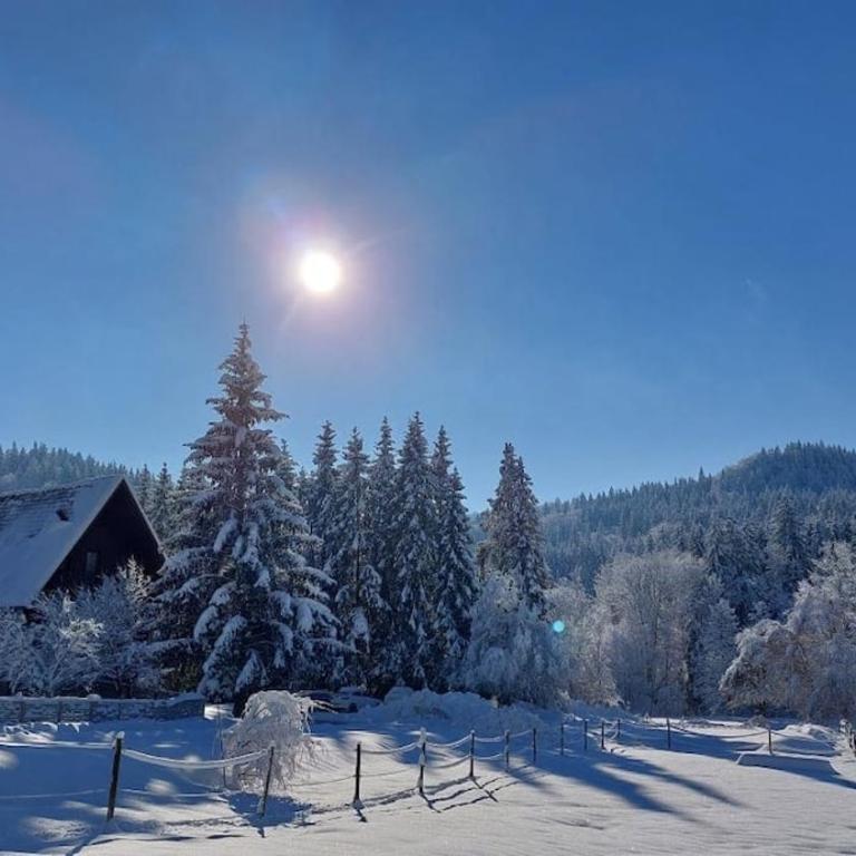 Ferienwohnung 'Heimelig' Auszeit und Erholung, Familie und Pferdehof, 409 - Apartment mit 3 Schlafzimmern - 28