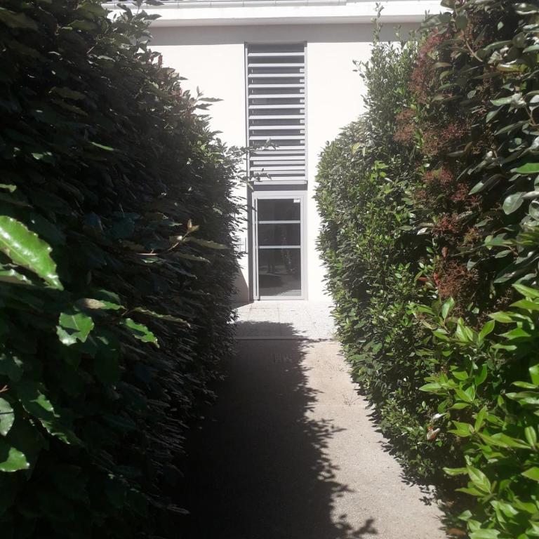 Ariane's Flat in Provence - Appartement 1 Chambre - 2