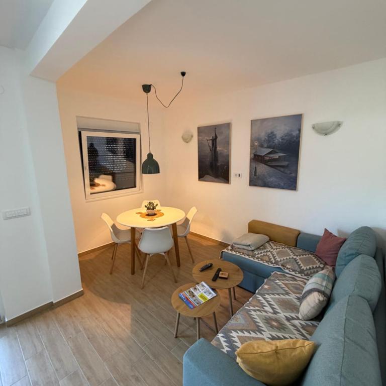 Apartmani Central 9 & Free parking garage - Apartman sa 1 Spavaćom Sobom - 2