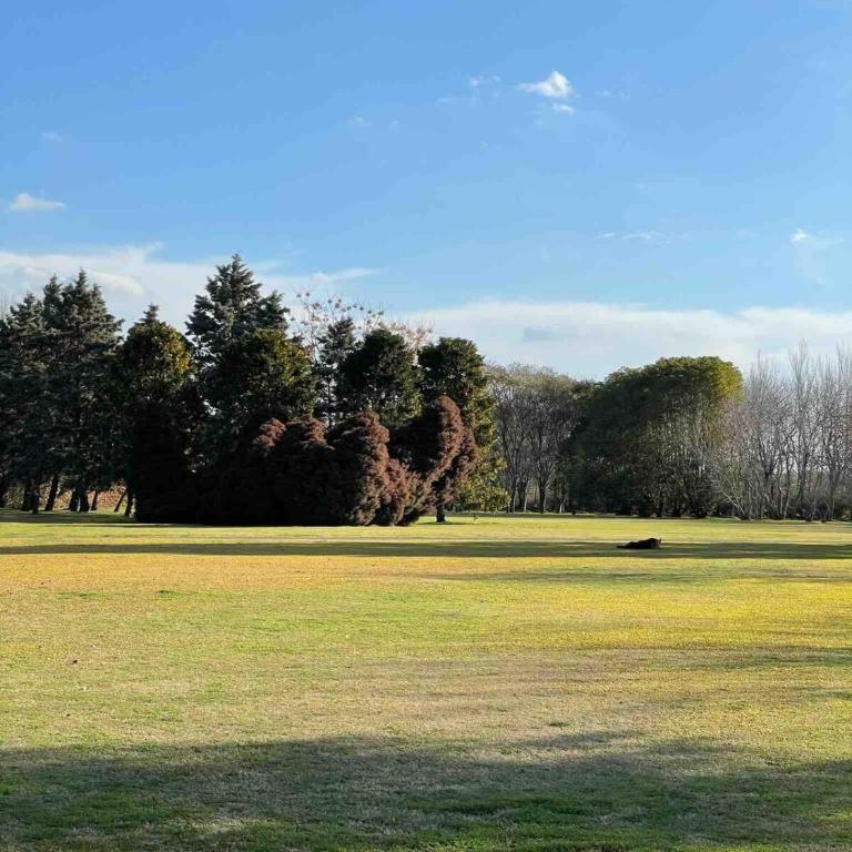 Country house facing the river with tennis court - Four-Bedroom House - 34