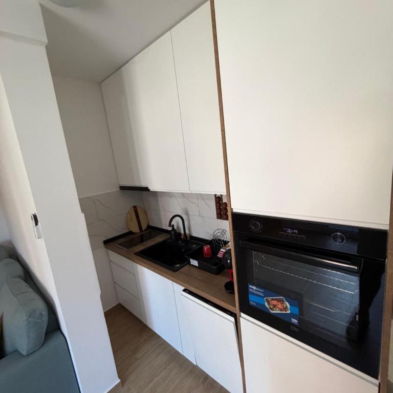 Apartmani Central 9 & Free parking garage - Apartman sa 1 Spavaćom Sobom - 4