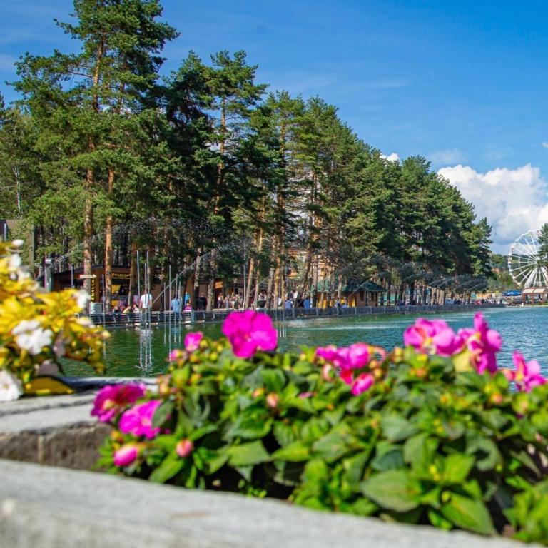 Royal Gardens by Nešić - Apartment mit 1 Schlafzimmer - 51