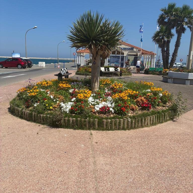 Sarah Secret SPOT studio parking 400m plage Rdc - Appartement 2 Chambres - 23