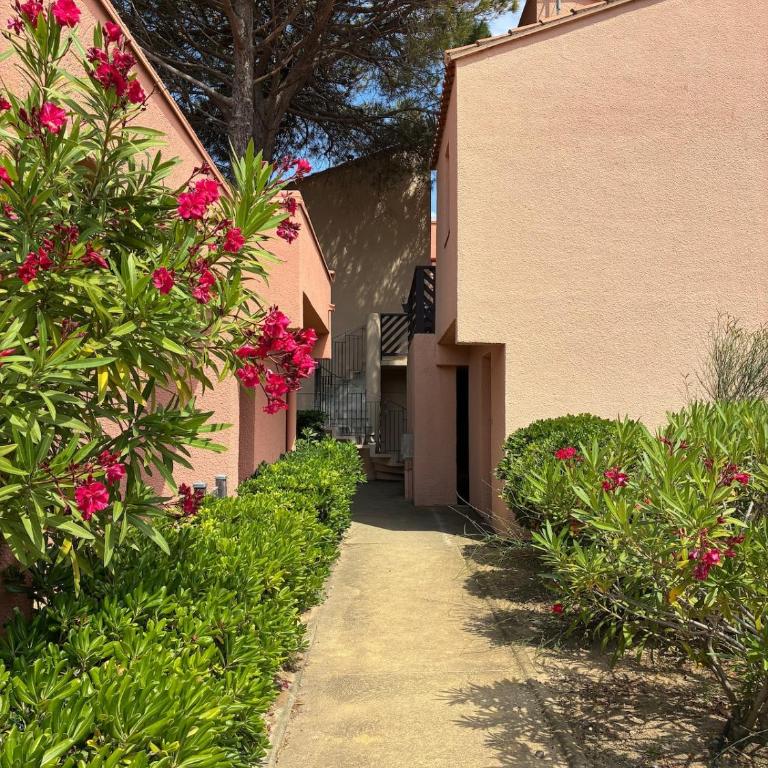 Sarah Secret SPOT studio parking 400m plage Rdc - Appartement 2 Chambres - 19